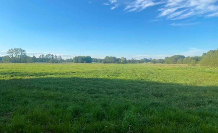 działka na sprzedaż - Zduńska Wola (gw), Janiszewice, Karolew